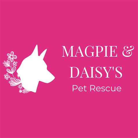 magpie and daisy's pet rescue